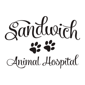 Sandwich Animal Hospital Home
