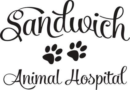 Sandwich Animal Hospital